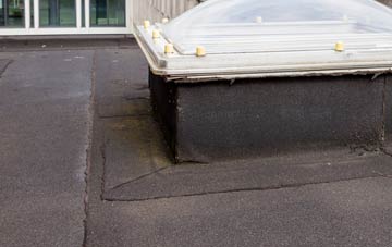 disadvantages of Dalgety Bay flat roofs