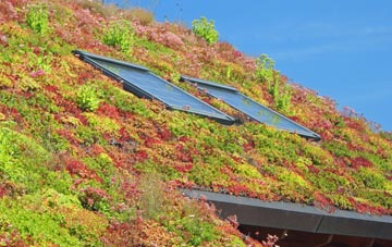 Dalgety Bay living roof systems