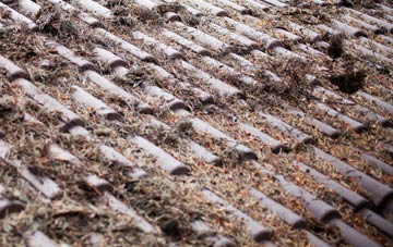 Dalgety Bay roof cleaning companies